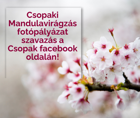 csopaki_mandulaviragzas.png