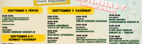 program-plakat.png